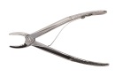 Forceps de extração