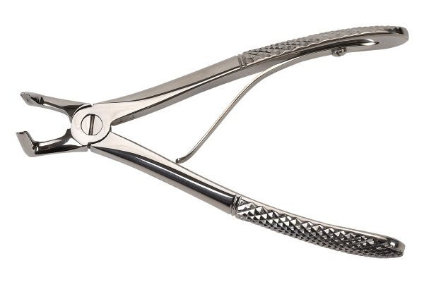 Forceps de extração de ângulo recto Felinos e pequenos cães